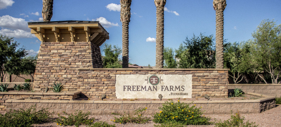 Freeman Farms Homes for Sale in Gilbert Arizona 85298 – Freeman Farms Gilbert Arizona Real Estate