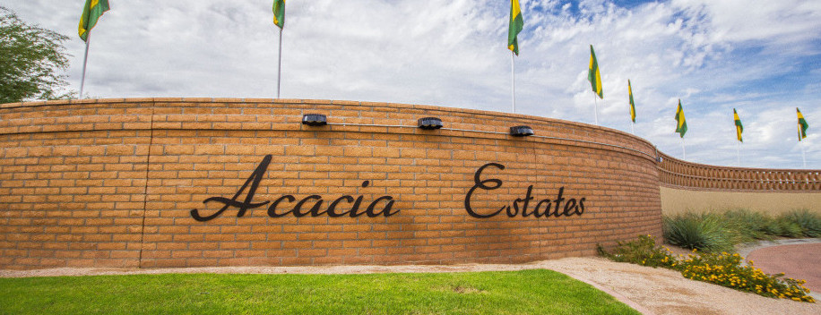 Acacia Estates – Acacia Replat Luxury Homes for Sale in Gilbert Arizona 85298