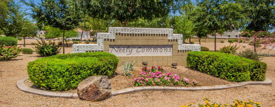 Neely Commons Homes for Sale in Gilbert Arizona 85296 – Neely Commons Real Estate in Gilbert Arizona