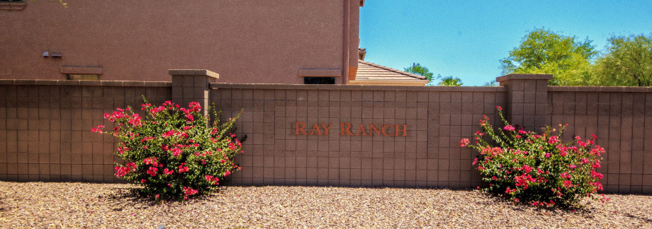 Ray Ranch Homes for Sale in Gilbert Arizona 85296 – Ray Ranch Real Estate in Gilbert Arizona