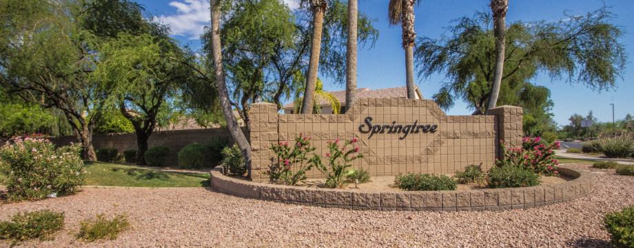 Springtree Homes for Sale in Gilbert Arizona 85295 – Springtree Real Estate in Gilbert Arizona