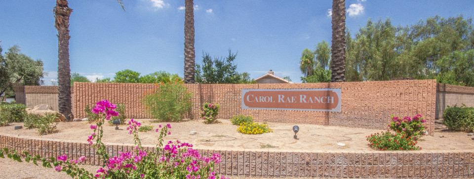 Carol Rae Ranch Homes for Sale in Gilbert Arizona 85234 – Carol Rae Ranch Real Estate Gilbert Arizona