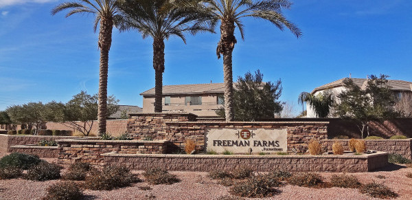 Freeman Farms HOA Information in Gilbert Arizona