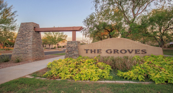 The Groves at Power Ranch in Gilbert Arizona