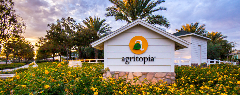Agritopia Homes that are PENDING & CLOSED / SOLD in Gilbert Arizona
