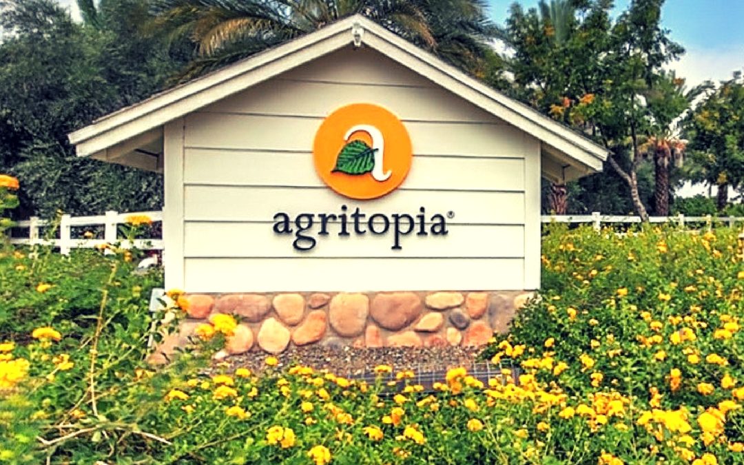 Agritopia Homes for Sale in Gilbert Arizona 85296 – Agritopia Real Estate in Gilbert Arizona